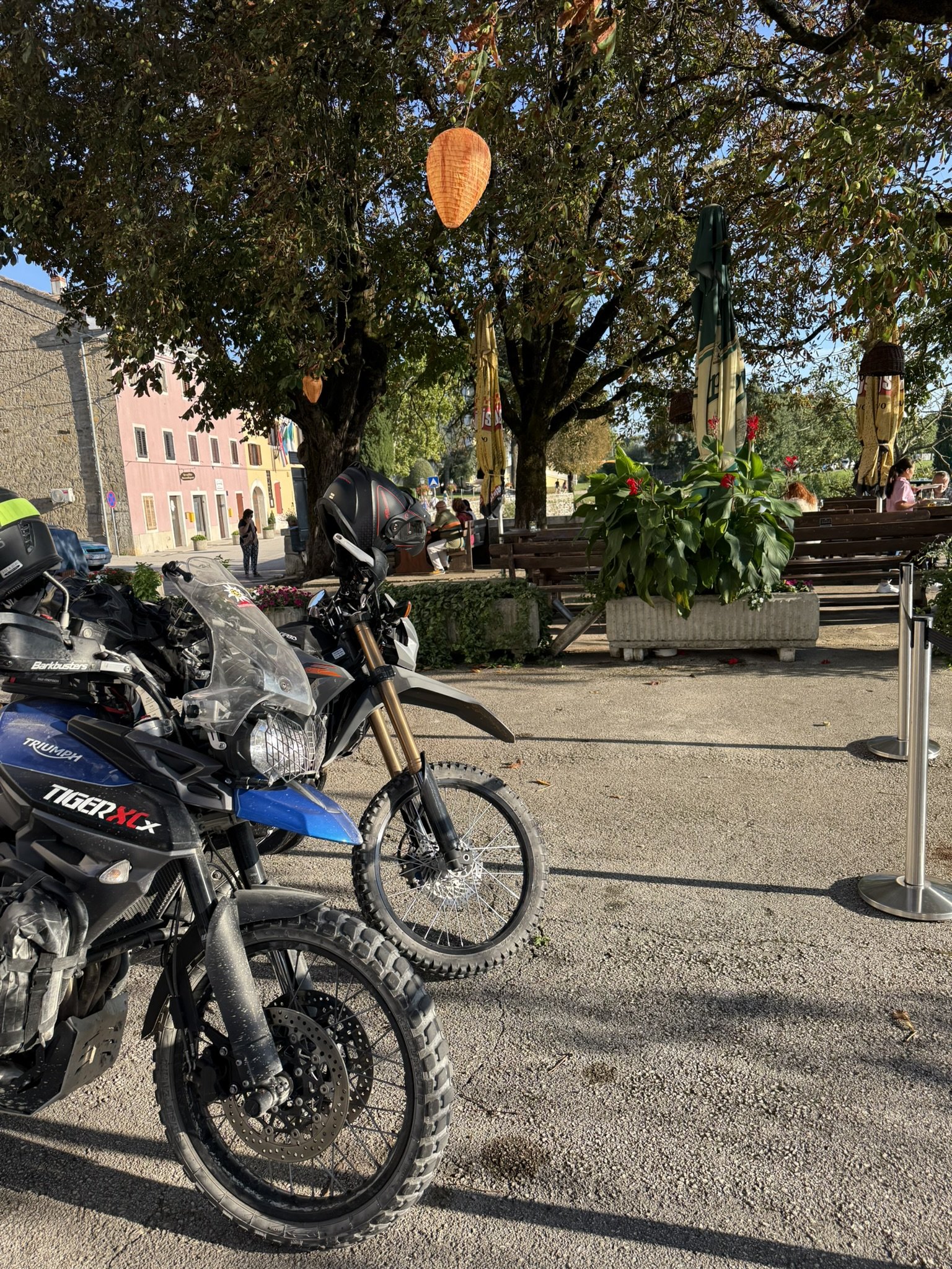 Portugal Wild Crossing
