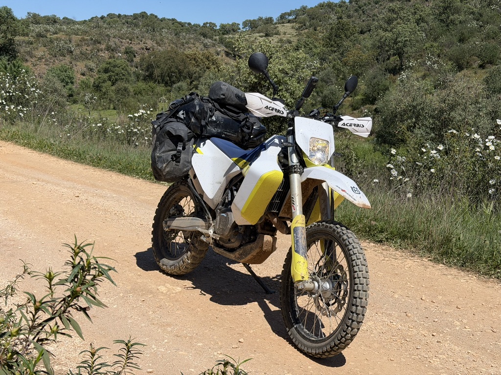 Piste durch Zistrosen