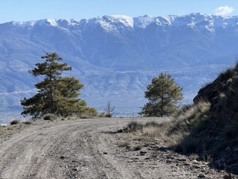 Sierra Nevada Schotterweg